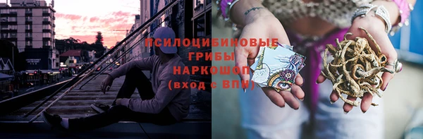 таблы Снежногорск