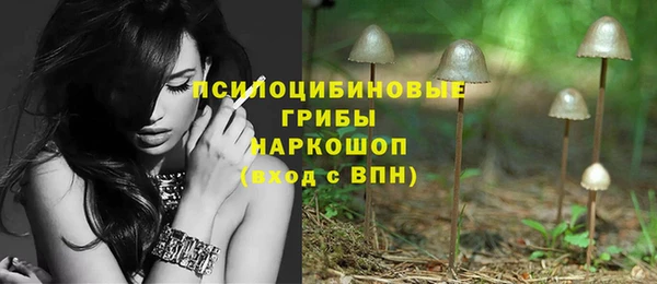 не бодяженный Лабытнанги